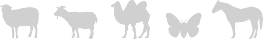Schafwolle, Edelhaare und Seide