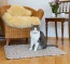 Afmeting 80x60 cm is ideaal geschikt als kattenslaapplaats